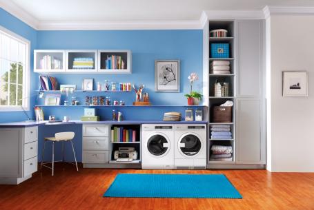 Electrolux laundry pair